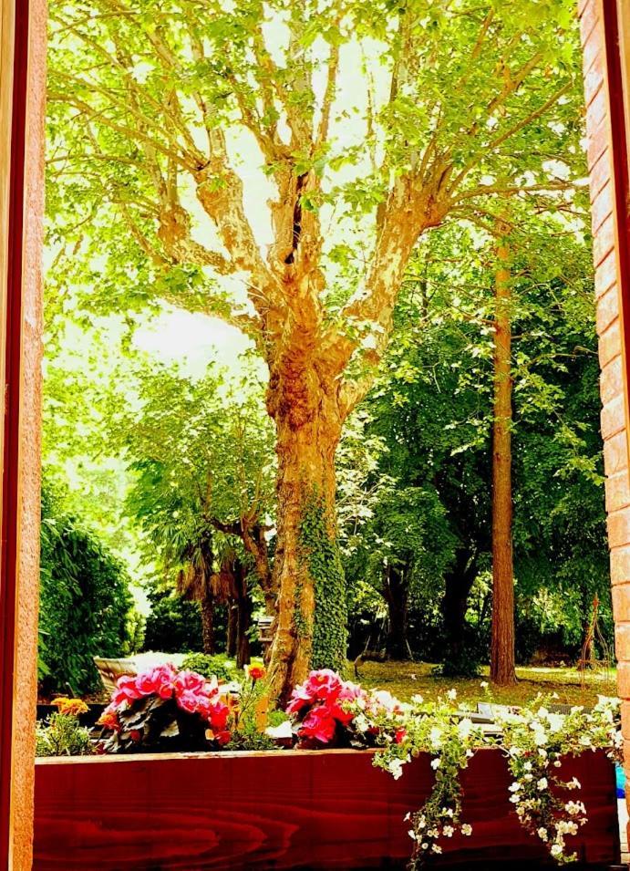Bed and Breakfast La Scierie Кийан Экстерьер фото